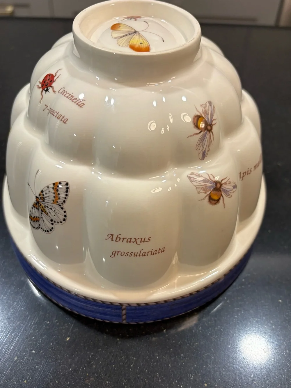 Wedgwood Sarah’s Garden Retired Gelatin Mold